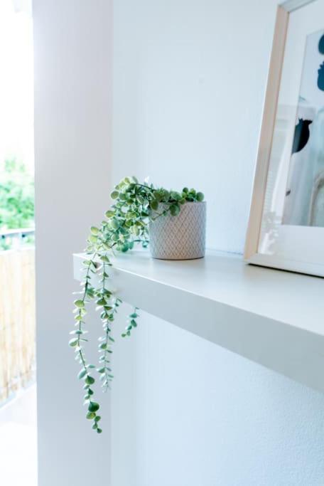 Grape Apartment Братислава Экстерьер фото