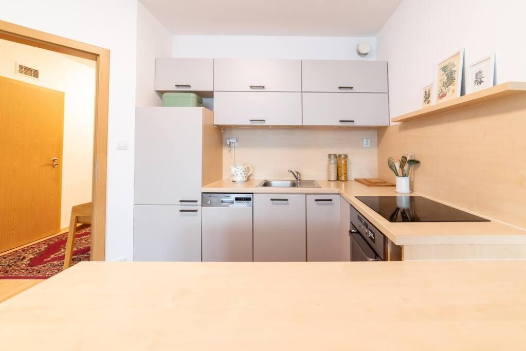 Grape Apartment Братислава Экстерьер фото