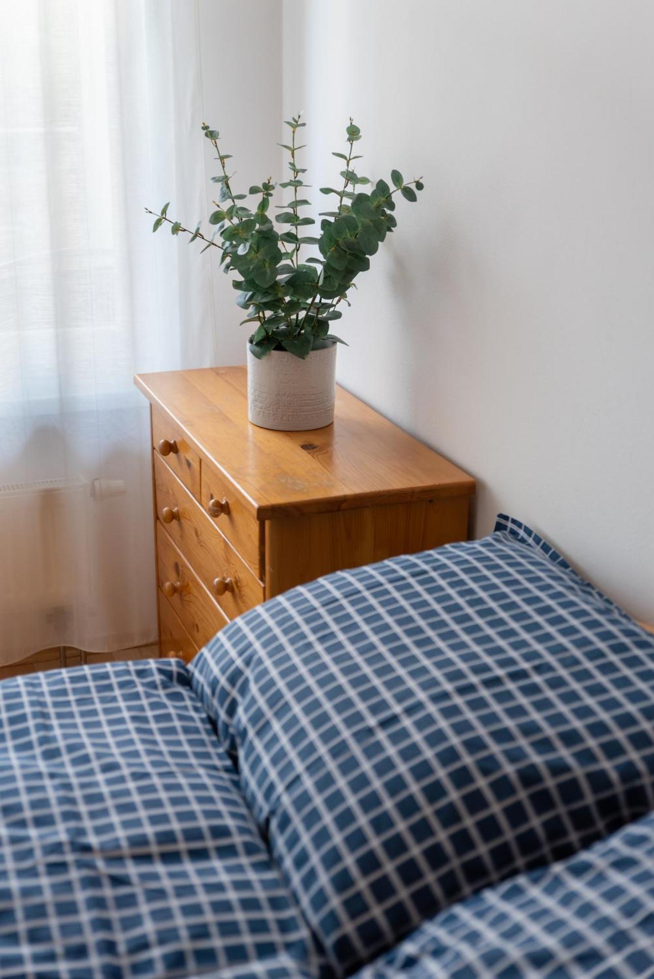 Grape Apartment Братислава Экстерьер фото